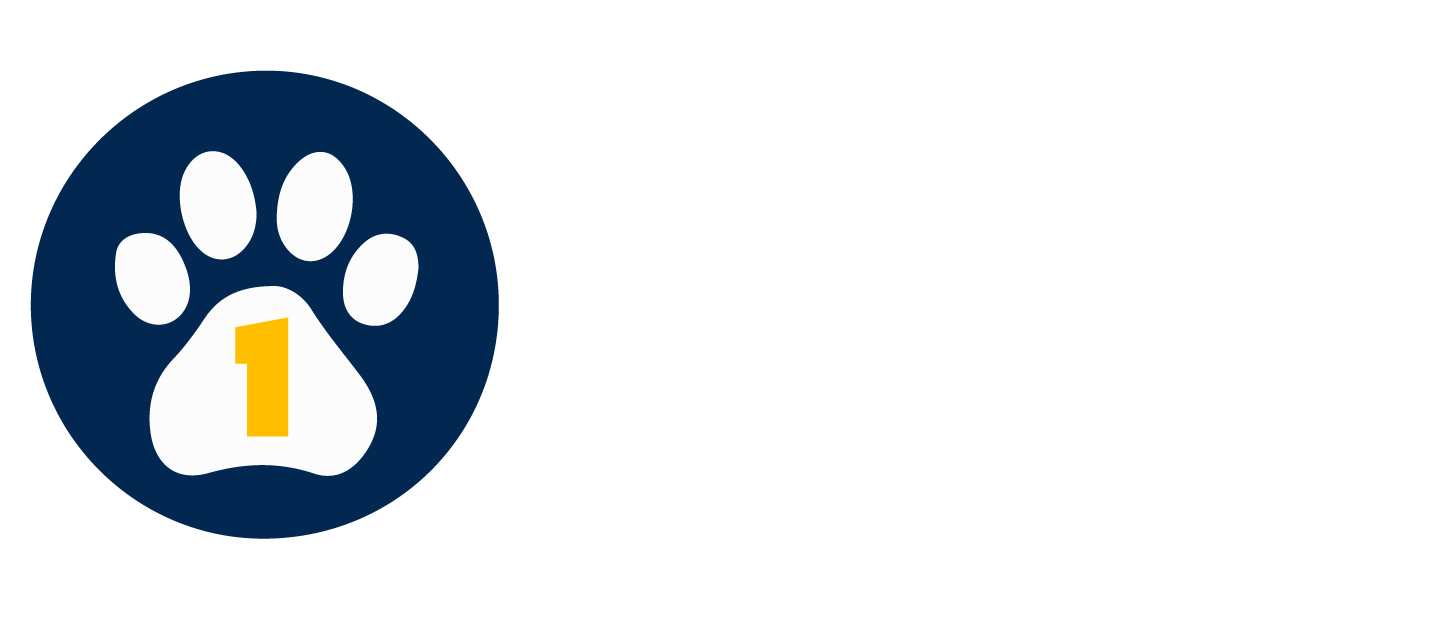 UC Davis is number one nationally in veterinary medicine