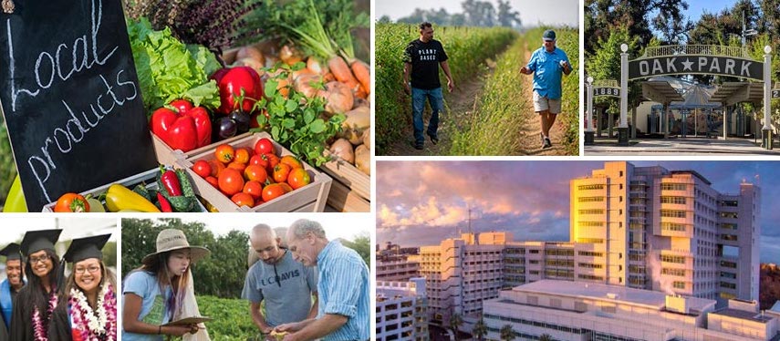 Produce, UC Davis Health, and people walking in fields