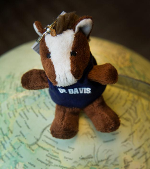 Gunrock plush toy.