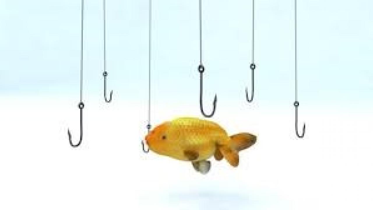 fish in water with hooks 