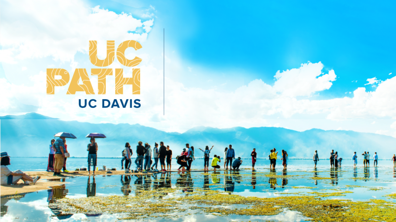 people standing in a line along a sand bank