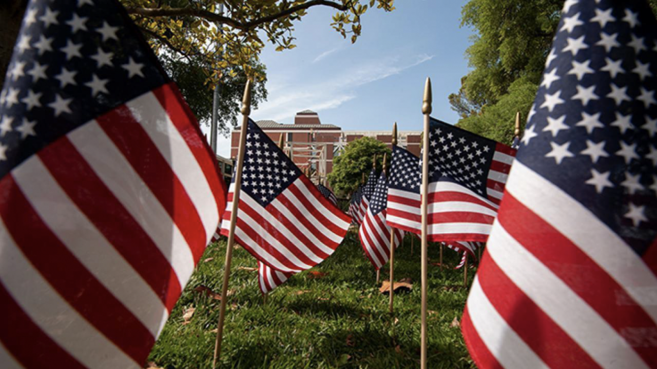 american flags in uc davis quad