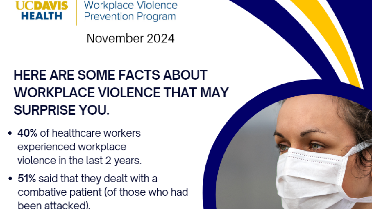 Screenshot of Workplace Violence PDF