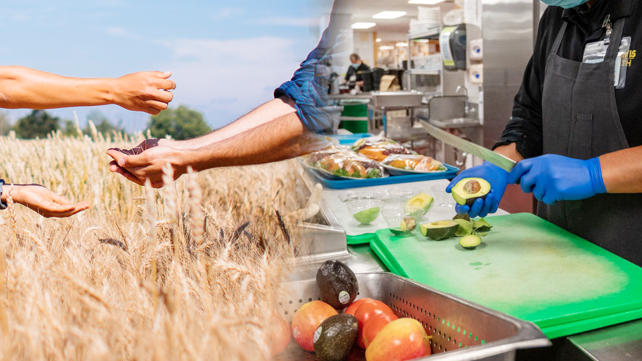 Someone passing wheat to another person and a cook at Health cutting avocado.
