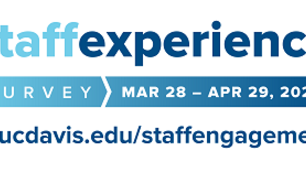 Staff Experience Survey