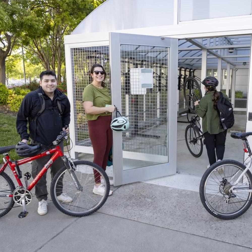 bikes