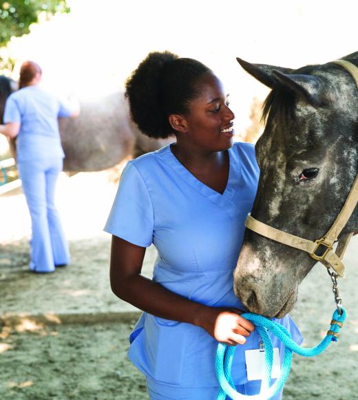 A woman in blue scrubs stands next to a gray horse and smiles.