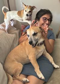 Susana sits on a couch in a blue dress while two dogs climb and sit on top of her.
