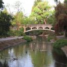 bridge over the UC Davis Arboretum waterway, with ducks swimming in foreground. 