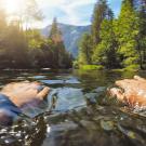 Person leisurely swimming with picturesque scenery surrounding them, as the sun beams down on their arms and the trees smell like deep pine.